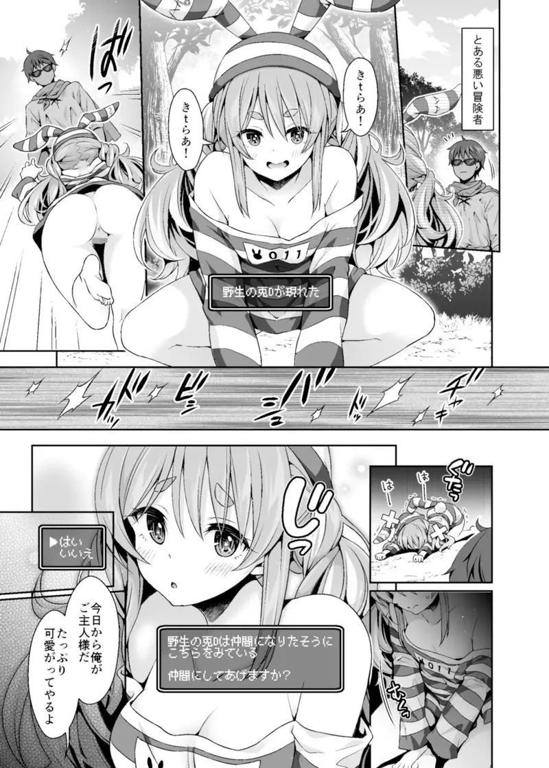 野生の兎が仲間になりたそうにこちらを見ている ダークネス サンプル画像 1枚目