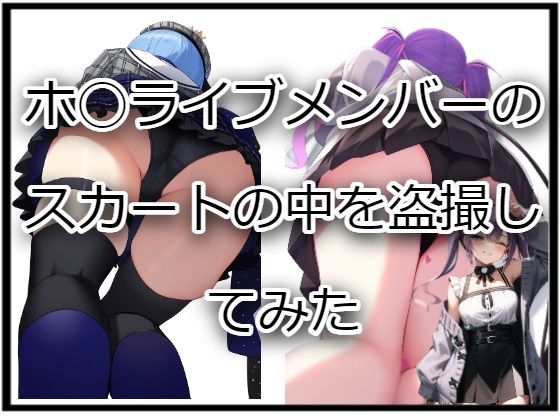 ホ〇ライブメンバーのスカートの中を盗撮してみた [エナジーソフト][d_431606][パッケージ画像]