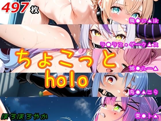 ちょこっとholo [ほろほろやか][d_608956][パッケージ画像]