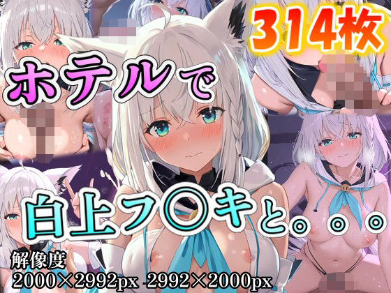 白上フ◯キに誘われホテルで。。。 [ポンチョ][d_593574][パッケージ画像]